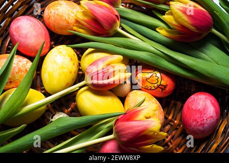 Bunte Tulpen und bemalte Ostereier in einem Korb Nahaufnahme Stockfoto