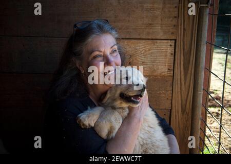 Milton, GA, USA. März 2021, 3rd. Die Gründerin von Canine, Jennifer Arnold, kuschelt sich Mayberry, ein 12 Wochen alter Golden Retriever Welpe, auf ihrer Trainingsfarm in Nord-Georgia AssistantsÃ. "Welpen entwickeln Vertrauen in die Menschen und Vertrauen in sich selbst als Teil unseres Bildungsprotokolls bekannt als Bond-basierte Ansatz", sagte sie. Diese Zukunft Medical Alert Hunde begann die 18-24 Monate Bildungsprozess bei 5 Wochen Alter. Kredit: ZUMA Press, Inc./Alamy Live Nachrichten Stockfoto