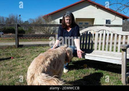 Milton, GA, USA. März 2021, 3rd. Great, eine 4-jährige Golddoodle, deutet an, dass sie ihren Zielgeruch riecht, indem sie ihre Nase auf die linke Hand von Canines AssistantsÃ Gründerin Jennifer Arnold zeigt. Canine AssistantsÃ 'Medical Detection Hunde verwenden diese Art von Alarm, bekannt als Nasenpunkt-Indikator, um binäre Fragen wie "Riechen Sie Ihren Zielgeruch zu beantworten? Ja oder Nein?’’’ Arnold erklärt. Ihr Unternehmen, das Servicehunde ausbildet, um Menschen mit medizinischen Bedürfnissen zu helfen, lehrt sie nun, das Coronavirus in älteren Lebensgemeinschaften aufzuspüren. Kredit: ZUMA Press, Inc./Alamy Live Nachrichten Stockfoto