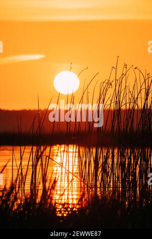 Sonnenuntergang Über Dem Lake River Horizon Bei Sonnenuntergang. Natürlicher Himmel In Warmen Farben Wasser. Sonnengewässer Stockfoto