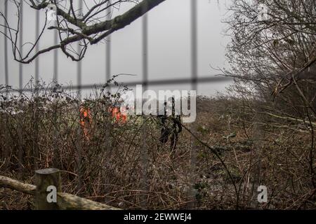 Old Oak Lane, London, Großbritannien. März 2021, 3rd. HS2 Bauarbeiter und Gerichtsvollzieher bei Wormwood Scrubs Reserve. In der Nacht vom 2nd. Auf den 3rd. März hat eine Gruppe von Umweltschützern ein Schutzlager eingerichtet, um die HS2 Arbeiten zu stoppen. Wermut Scrubs ist ein ausgewiesener lokaler Naturpark (LNR), der unter dem Metropolitan Open Land Act von 1879 geschützt ist. Die Einheimischen sagen, dass HS2 „in aller Stille Planungsvorschläge durchforsten“ hat, mit den Bauarbeiten und dem 24-stündigen Tunnelbau zu beginnen, um die Stamford Brook-Kanalleitung durch das Reservat abzulenken. Sabrina Merolla/Alamy Stockfoto
