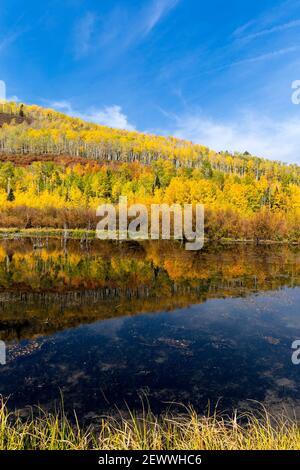 Landschaftlich reizvolle Herbstlandschaft mit Aspen Bäumen, die sich in einem Bergsee in der Nähe von Ridgway, Colorado, spiegeln.