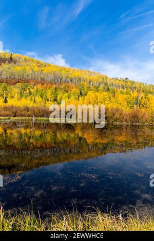 Scenic autumn landscape with Aspen trees reflecting in a mountain lake near Ridgway, Colorado. Stockfoto