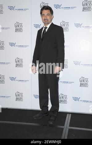 Joe Mantegna bei den jährlichen Genesis Awards 23rd im Presseraum des Beverly Hilton Hotels am 03, 28, 2009 in Beverly Hills, ca. Stockfoto