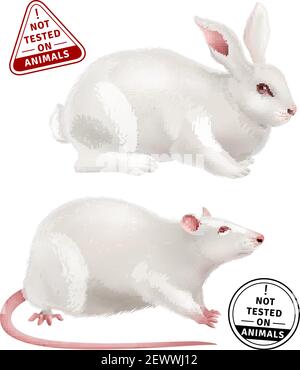 Weiße Kaninchen und Ratte realistische Symbole und Stempel mit Text Nicht an Tieren getestet Vektorgrafik Stock Vektor