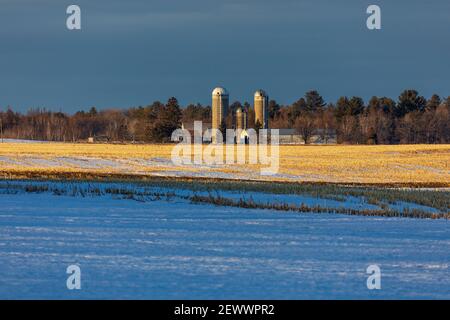 Das Licht am späten Nachmittag beleuchtet eine Farm im Norden von Wisconsin. Stockfoto