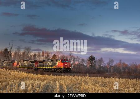 CN Güterzug durch eine Bauerngemeinschaft in Exeland, Wisconsin. Stockfoto