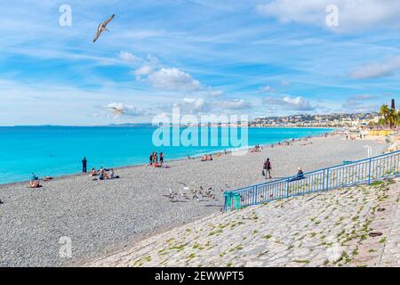 Eine Möwe fliegt über Touristen auf dem öffentlichen Strand an der französischen Riviera am Mittelmeer in Nizza Frankreich. Stockfoto