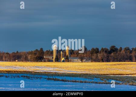 Das Licht am späten Nachmittag beleuchtet eine Farm im Norden von Wisconsin. Stockfoto