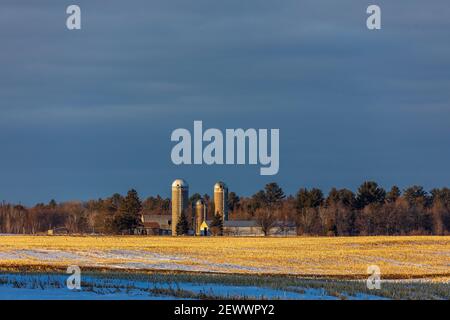 Das Licht am späten Nachmittag beleuchtet eine Farm im Norden von Wisconsin. Stockfoto