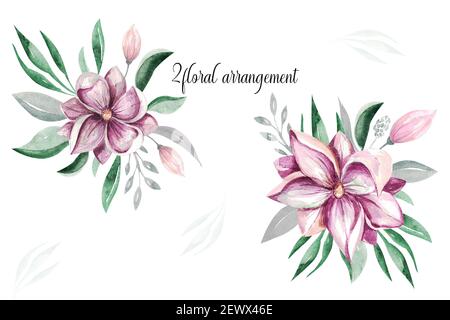 Frühling Magnolia Blumen Cliparts. Zartes Blumenstrauß von Magnolie auf weißem Hintergrund Stockfoto