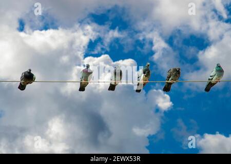 Ein sonniger Herbsttag ist ein Vorderblick. Stockfoto