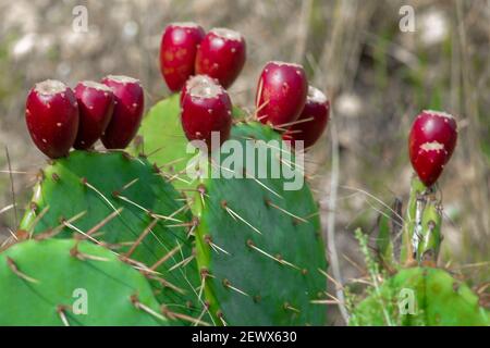 Ein sonniger Herbsttag ist ein Vorderblick. Stockfoto