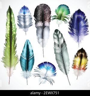 Exotische Vögel natürlich gefärbt gefleckt grün lila glänzend türkis mix Farbige Federn realistische Satz isoliert Vektor-Illustration Stock Vektor
