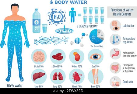 Körper- und Wassersatz mit Wasserfunktionssymbolen flach isoliert vektorgrafik Stock Vektor