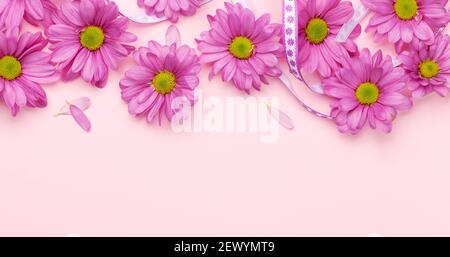 Frühlingsblumen und Blütenblätter rosa Hintergrund. Draufsicht flach liegend mit Kopierplatz Stockfoto