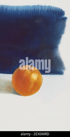 Ein Orange auf weißem und dunkelblauem Aquarellhintergrund Stockfoto