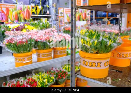 Moskau. Russland. 04. März 2021. Blumensträuße aus bunten Tulpen, verpackt in durchsichtiger Zellophanfolie, in Eimern. Selektiver Fokus. Frühlingsblumen für Stockfoto