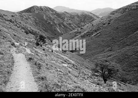 Blick entlang des Wanderweges, der Teil des Shropshire Way ist, das Townbrook Valley hinunter in Richtung Burway Hill, Long Mynd Shropshire, Großbritannien Stockfoto