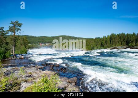 Naturschutzgebiet Storforsen River an sonnigen Sommertagen im schwedischen lappland Stockfoto