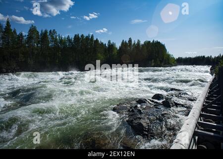 Naturschutzgebiet Storforsen River an sonnigen Sommertagen im schwedischen lappland Stockfoto