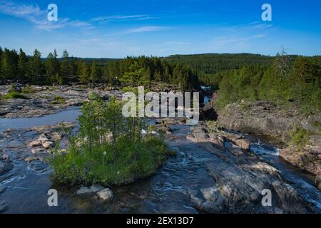 Naturschutzgebiet Storforsen River an sonnigen Sommertagen im schwedischen lappland Stockfoto