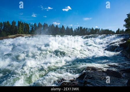 Naturschutzgebiet Storforsen River an sonnigen Sommertagen im schwedischen lappland Stockfoto