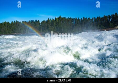 Naturschutzgebiet Storforsen River an sonnigen Sommertagen im schwedischen lappland Stockfoto