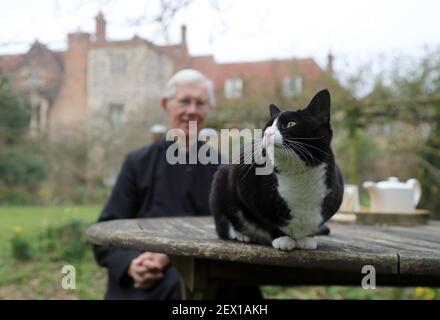 Der Dekan von Canterbury, Reverend Dr. Robert Willis mit Domkatze Lilly, einer von drei schelmischen Katzen, die auf dem 1.400 Jahre alten Sitz der Anbetung in Kent leben, der seine Videogebete ständig stört und zu einem Social-Media-Hit geworden ist. Bilddatum: Dienstag, 2. März 2021. Stockfoto