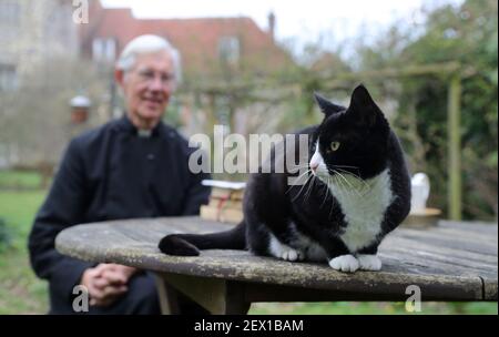 Der Dekan von Canterbury, Reverend Dr. Robert Willis mit Domkatze Lilly, einer von drei schelmischen Katzen, die auf dem 1.400 Jahre alten Sitz der Anbetung in Kent leben, der seine Videogebete ständig stört und zu einem Social-Media-Hit geworden ist. Bilddatum: Dienstag, 2. März 2021. Stockfoto