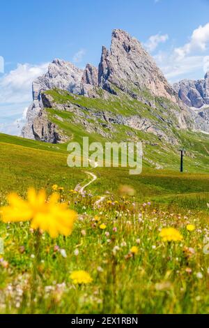 Seceda Berg im Sommer, Blumen und Landschaft. Dolomiten Alpen, Italien Stockfoto