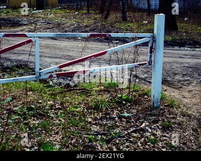 Tor am Eingang zum Wald im Frühjahr Stockfoto