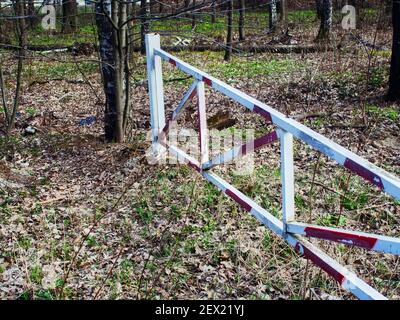 Tor am Eingang zum Wald im Frühjahr Stockfoto