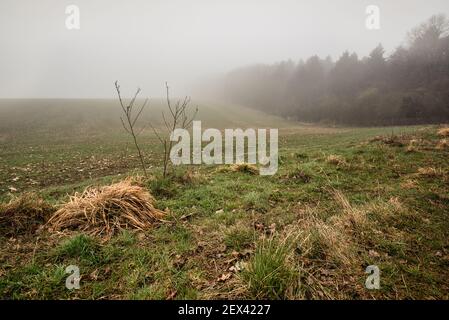 Misty Fields of Chiltern Hills in Latimer Area, Buckinghamshire, Großbritannien Stockfoto