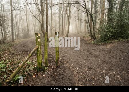 Beschlagene Chiltern Hills Wege mit Wegweisern zwischen Little Chalfont und Latimer, England Stockfoto