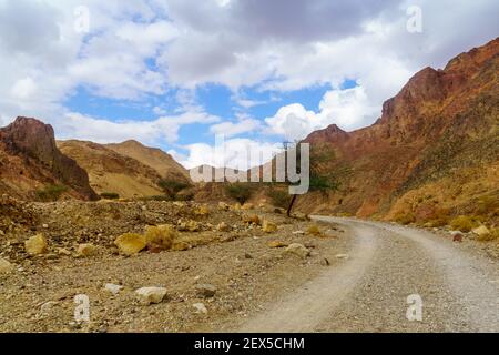 Blick auf den Nahal Shlomo (Wüstental). Eilat-Gebirge, Südisraelisch Stockfoto