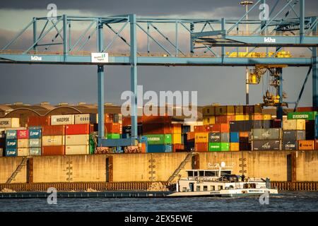 Container Terminal, Gateway West Terminal, Logport 2, in Duisburg, am Rhein, NRW, Deutschland, Stockfoto