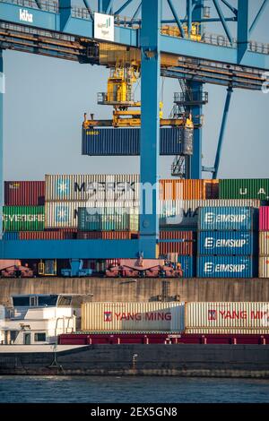 Container Terminal, Gateway West Terminal, Logport 2, Frachtschiff, in Duisburg am Rhein, NRW, Deutschland, Stockfoto