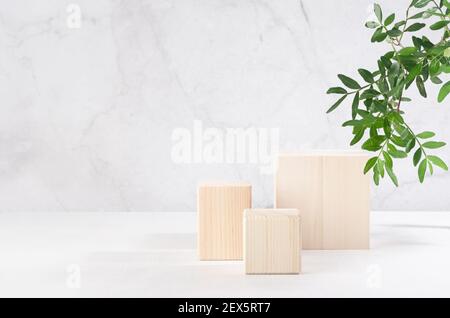 Holzpodien mit grünem Laub, Schatten im eleganten weißen Interieur mit grauer Marmorwand im Sonnenlicht für die Präsentation von Kosmetikprodukten. Stockfoto