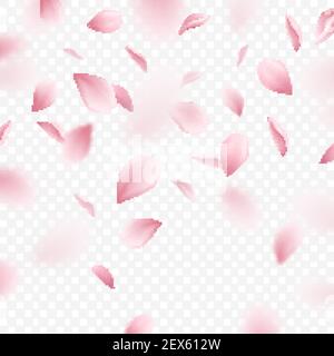 Fallende rosa Sakura Blütenblätter auf transparentem Hintergrund realistische Vektor-Illustration Stock Vektor