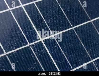 Wassertropfen auf Solarpanel - Makro. Stockfoto