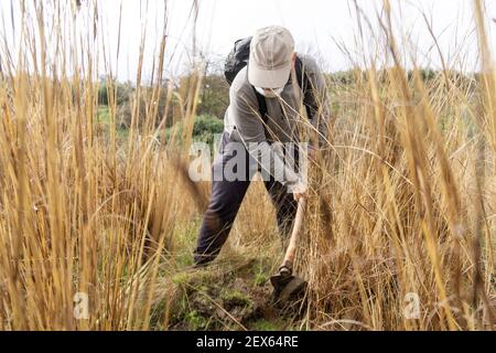 Stock Foto von nicht erkannte Frau trägt Gesichtsmaske mit Schaufel in der Landschaft helfen, aufzuforsten. Stockfoto