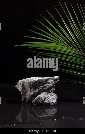 Elegantes rohes Natursteinpodium mit grünem Palmenblatt, Wasser als Strand im Sommer frische Nacht für die Verpackung, Produkt auf schwarzem Hintergrund, vert Stockfoto