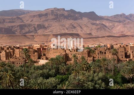 Marokko, Tinerhir, Oase am Ufer des Wadi Todra Stockfoto