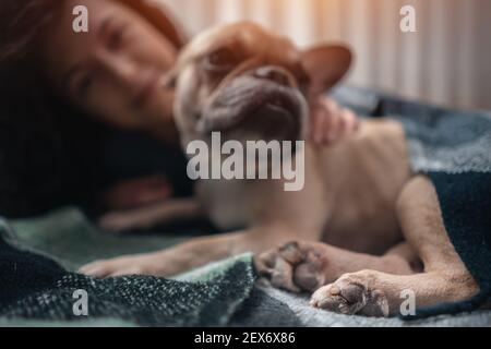 Hündin und niedlichen französisch Bulldogge ruht auf Bett mit Karierten in gemütlichen Hause Stockfoto