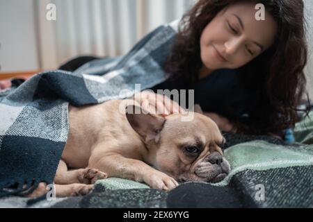 Hündin und niedlichen französisch Bulldogge ruht auf Bett mit Karierten in gemütlichen Hause Stockfoto