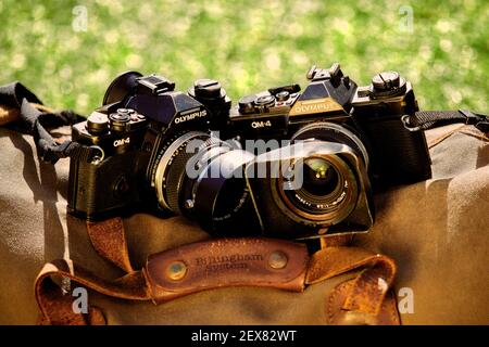 Zwei Olympus 35 mm Film Spiegelreflexkameras sitzen auf Eine Billingham 550 Kameratasche Stockfoto