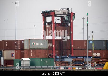 Ein Straddle Carrier bewegt einen Container in die Lagerdockside am DP World Containerterminal im Hafen von Southampton. Bilddatum: Donnerstag, 4. März 2021. Stockfoto