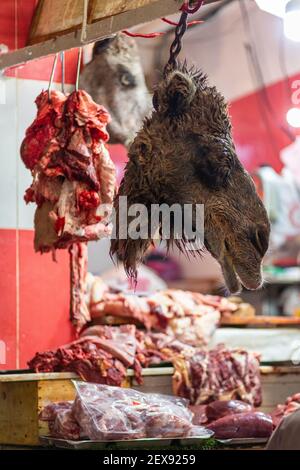 Detail eines enthaupteten Kamelkopfes, der an einer Metzgerei in einem Markt (Souq) in der Medina von Fes, Marokko, hängt Stockfoto