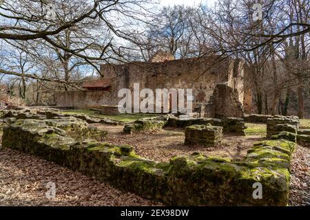 Pauline Klosterruine auf dem ungarischen Wanderweg bei Badacsony in Salfold. Stockfoto